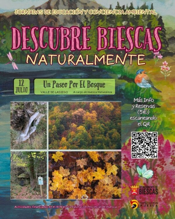 El Valle de Lasieso ofrece un paisaje espectacular, con una gran variedad de ambientes y microclimas que favorecen la coexistencia de especies muy diversas. ¡Una oportunidad única para conectar con la naturaleza, aprender sobre botánica y disfrutar de un agradable paseo por el bosque!
