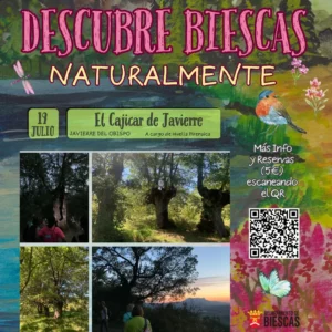Ruta guiada: El cajicar de Javierre