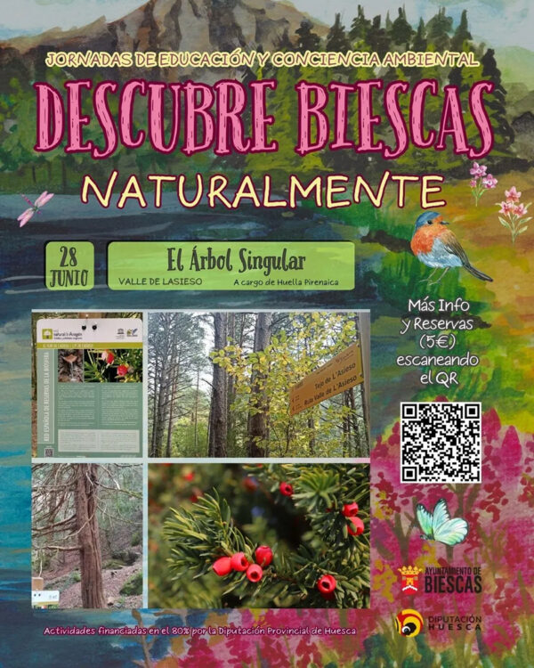 El árbol singular Sábado 28 de junio de 2025 | 3 horas | Dolmen de Santa Elena – Tejo de Lasieso